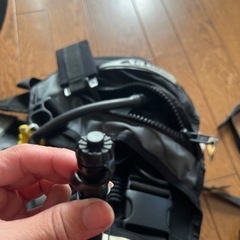 スポーツ マリンスポーツの画像