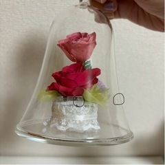 プリザーブドフラワー ガラスドーム 薔薇 美女と野獣 ドライフラワーの画像