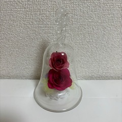 プリザーブドフラワー ガラスドーム 薔薇 美女と野獣 ドライフラワー