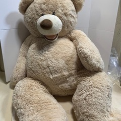 コストコくま🧸の画像