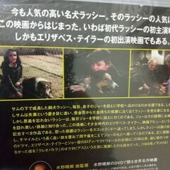 名犬ラッシーDVDの画像