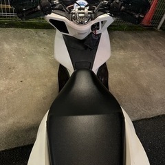 PCX125型式JF56の画像