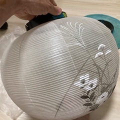 岐阜提灯の画像