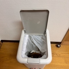 【予約中】ゴミ箱　20L　2WAYペダルペール の画像