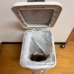 【予約中】ゴミ箱　20L　2WAYペダルペール の画像