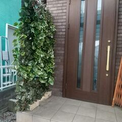 グリーンフェンス　リーフラティス　１８０×９０ｃｍ　ラティスベー...