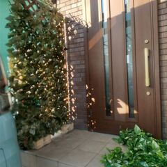 グリーンフェンス　リーフラティス　１８０×９０ｃｍ　ラティスベース×２　受取予定者様とお話中の画像