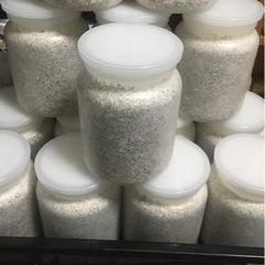 オオクワガタ幼虫用　菌糸瓶
1本　スポンジシワシワ　ボロい瓶