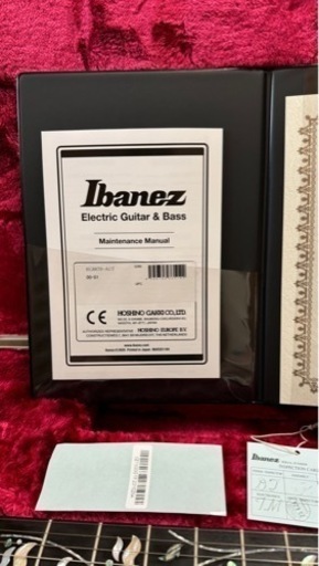 楽器 Ibanez j.costom RG8870 AGT