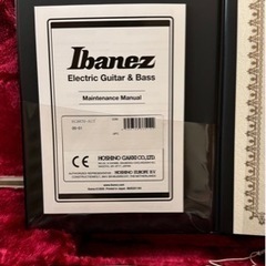 Ibanez j.costom RG8870 AGTの画像