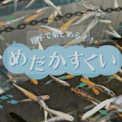 7月24日（水）　無人販売所　東大阪　メダカすくい🐟イベント開催