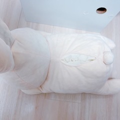 ねねちゃんのうさぎ　ティッシュケース　ぬいぐるみの画像