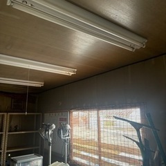 ３連棟！スーパーハウス！コンテナハウス！の画像