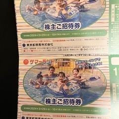 郵送可　東京サマーランドチケット　2枚