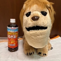 子供に人気のぬいぐるみセット 　美品　取引中
ですの画像