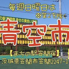 8/25昔ながらの「青空市」フリーマーケット