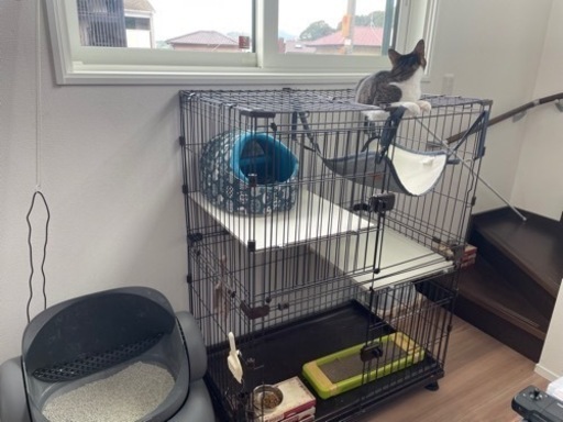 アイリスオーヤマ　コンビネーションサークル2段セット おまけ付き