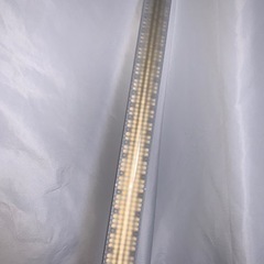 LED ライト YONGNUO YN360 IIの画像