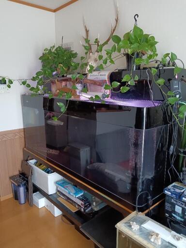 1800 ＯＦ水槽と台のセット