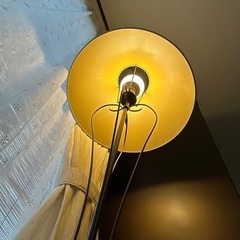 照明器具　フロアスタンド　優しい灯り　いい雰囲気　ムードの画像