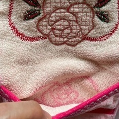 ANNA SUI タオルハンカチ風ポーチの画像