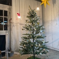 決まりました⭐︎IKEAクリスマスツリー