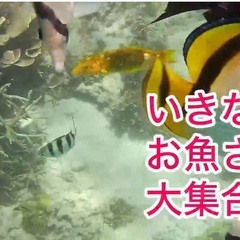 🚭シュノーケル＆キャンプ飯が好きな方居ませんか？？🚭