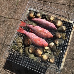 🚭シュノーケル＆キャンプ飯が好きな方居ませんか？？🚭 - 那覇市
