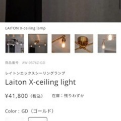 Laiton X-ceiling lightの画像