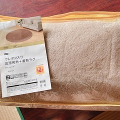 ニトリ 蓄熱ラグ 取引済
