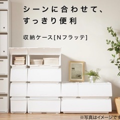 廃盤　終了　幅77cm 収納ケース Nフラッテワイド本体+フタセットの画像