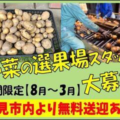 【期間限定8/19～3月中旬】野菜選果場〈美幌〉
