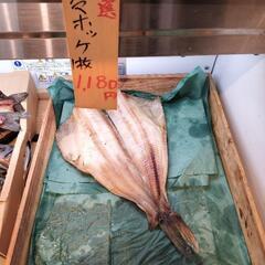 本日バーベキュー参加者募集中！豊平川
