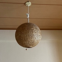 対応中　ニトリシェード