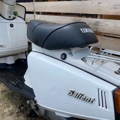 ☆ ★ サリアン ★ ☆の画像