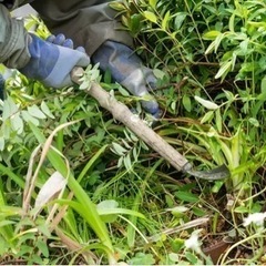 草刈り 草むしり