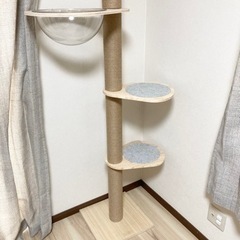 「日本メーカー」RAKU 木登りタワー 宇宙船ハンモック付き シングル キャットタワー 突っ張り 猫タワー 省スペース の画像