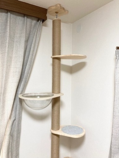 「日本メーカー」RAKU 木登りタワー 宇宙船ハンモック付き シングル キャットタワー 突っ張り 猫タワー 省スペース