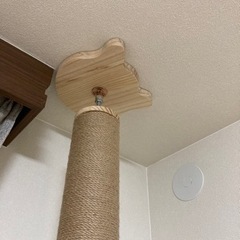 「日本メーカー」RAKU 木登りタワー 宇宙船ハンモック付き シングル キャットタワー 突っ張り 猫タワー 省スペース の画像