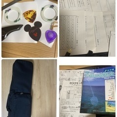 沖縄 三線 人工皮 蛇柄 弦楽器 琉球 黒塗り ケース付 爪 初心者セットの画像