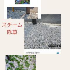 草取り、除草 スチーム+重曹除草
