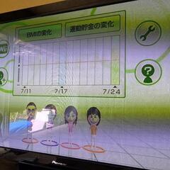 【動作確認済】Wiiフィットソフトのみの画像