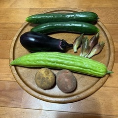 野菜
