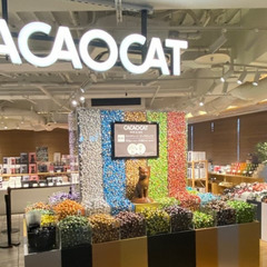 7月30日(火)14：00 - ≪枚方T-SITE≫*CACAO...