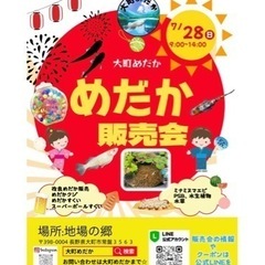 7月28日 めだか販売会