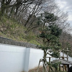 身体を動かしたい