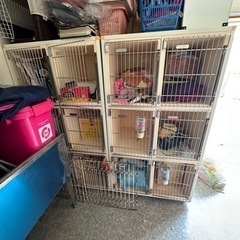 福岡県の犬小屋の中古が安い！激安で譲ります・無料であげます｜ジモティー