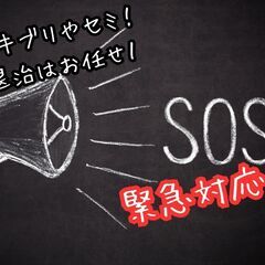 ✨駆け付けます✨夏の急な虫退治🚨💨ゴキブリやセミなど