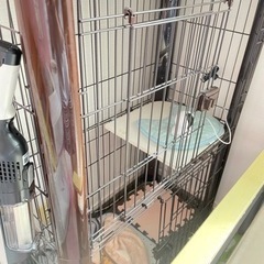 猫　　ペットケージの画像