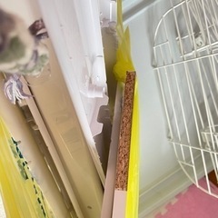 猫　　ペットケージの画像